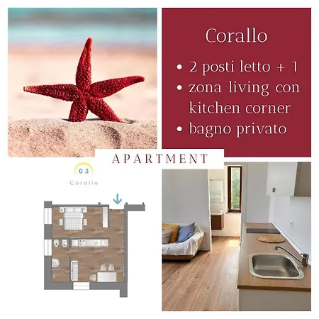 Apartament L'aura *